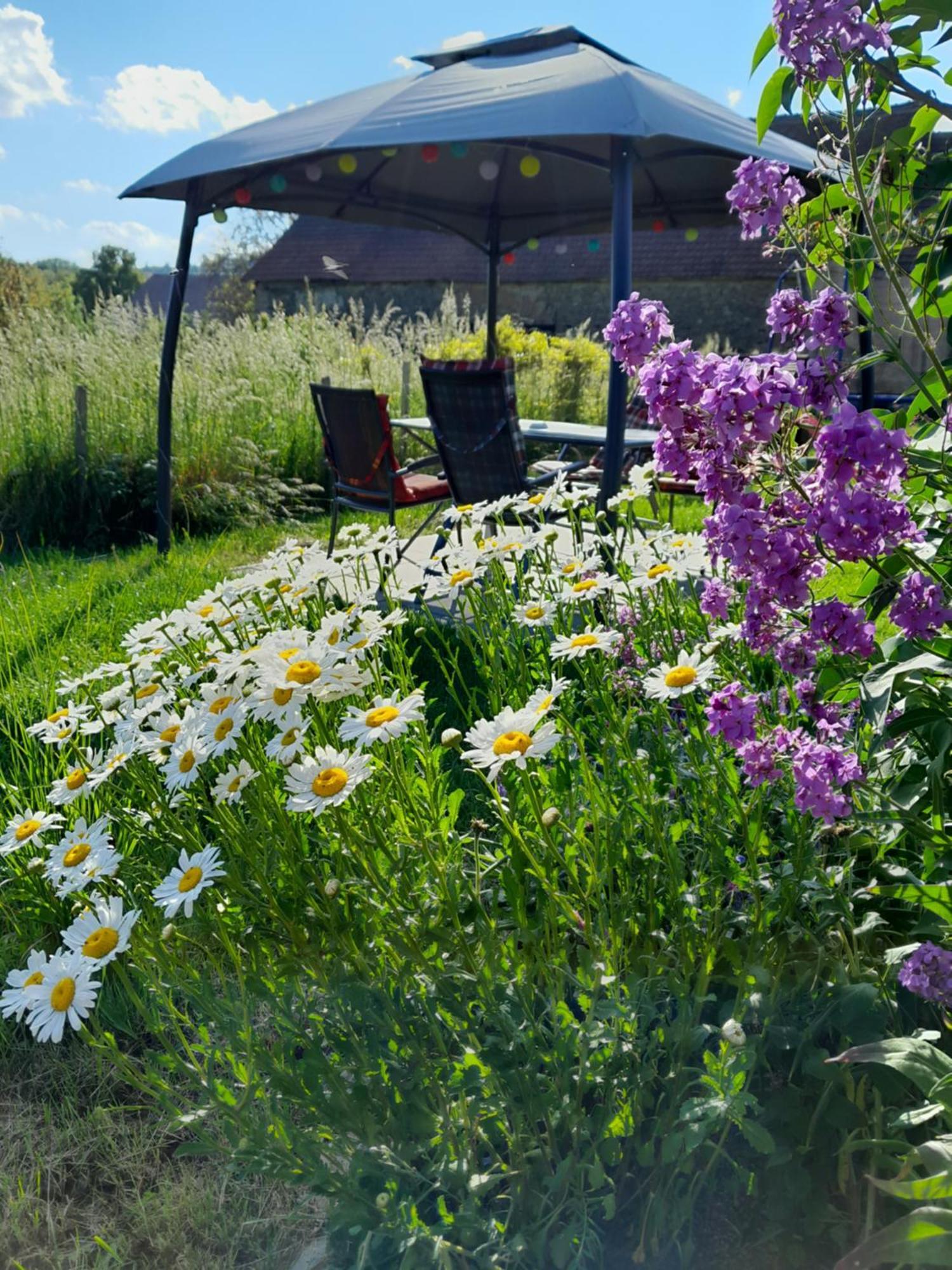 Penzion Mala Farma Nemojany Extérieur photo